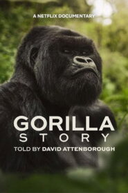 A Gorilla Story (2026) မြန်မာစာတန်းထိုး